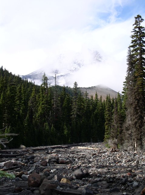 Newton Creek Oct 16 2005 061 